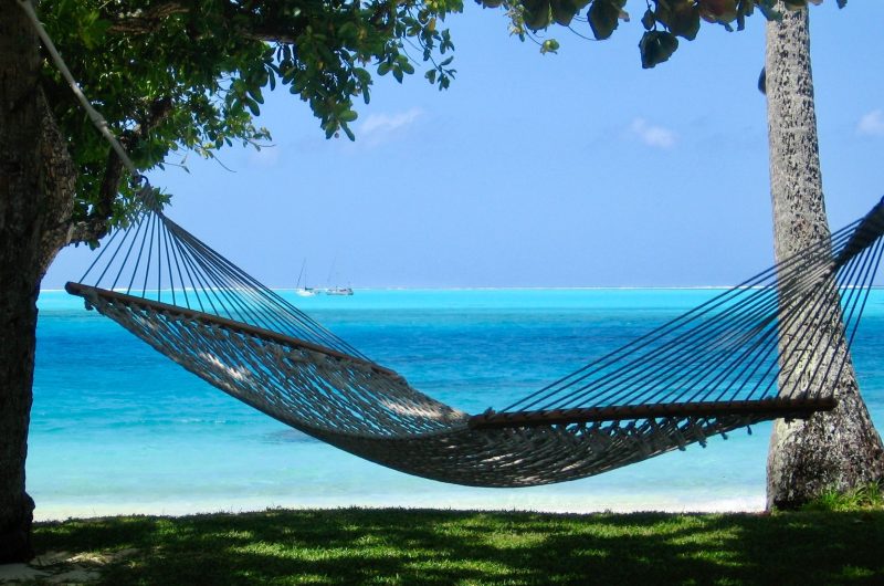 A serene hammock hanging between two trees overlooking a turquoise ocean on a sunny day.